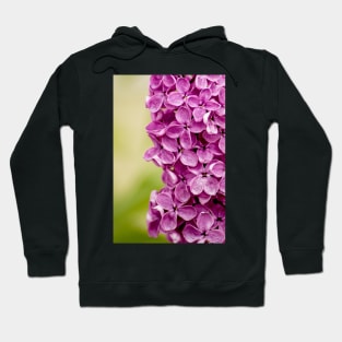 Beautiful Lilac Hoodie